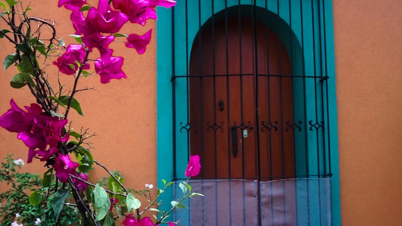 Casa Frida B&B Oaxaca Exterior foto